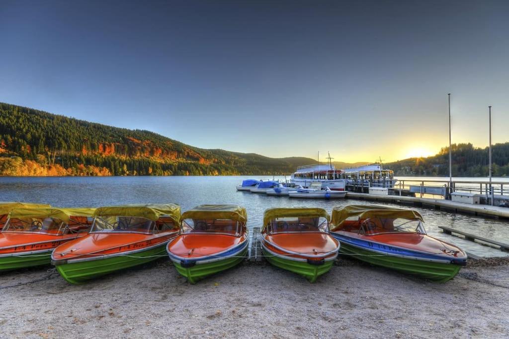 Waldoase Titisee Luaran gambar
