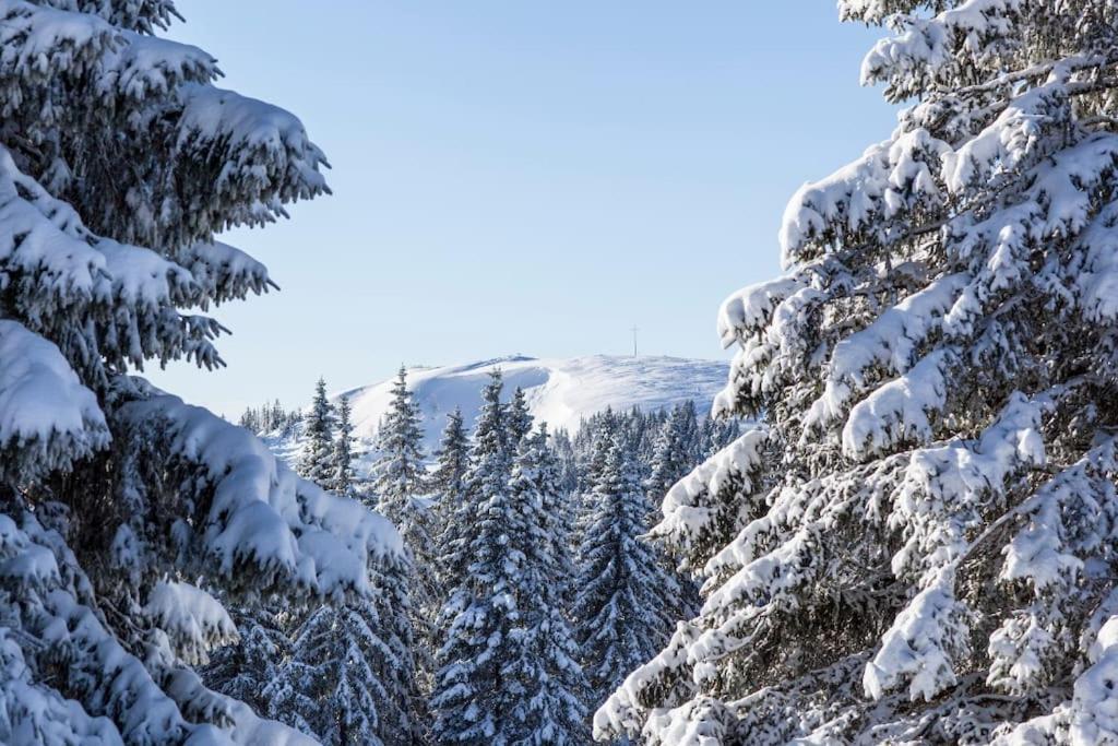 Waldoase Titisee Luaran gambar